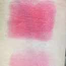 폴인러브 이미지