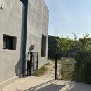 포리애견 이미지