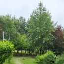 강당말공원 이미지