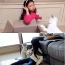 구사도 이미지
