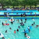 퐁당퐁당 이미지