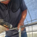 새운농장 이미지