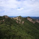 속리산청정한우 이미지