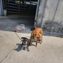 석현1농장 이미지