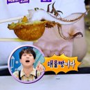 해물25시