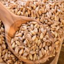 프랭크버거(소사벌점) 이미지