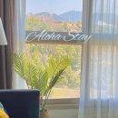 알로하스테이 이미지