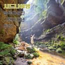 히스베이커리 | 시드니 여행 코스 블루마운틴 투어 내돈내산 그랜드캐년 추천 후기