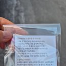 조이래쉬바