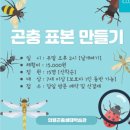 경상남도장애인단체총연합회무료직업소개소 | 🐞 [경남 의령] 아이와 가볼만한 곳 │ "의령곤충생태학습관" 방문 후기(곤충표본, 동물, 할인정보 등)