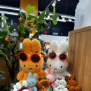 도두 | 나 미피 좋아하네? - 귤귤 스토어 도두점 후기