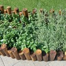 인향 민박 이미지