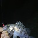 행암데크로드 이미지