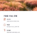 하추리 하천변 이미지