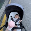 이레소아청소년과 네이버블로그