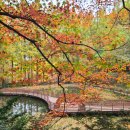 장태산휴양림 이미지