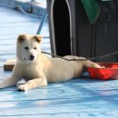 선창해상낚시터 이미지