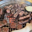 고기의 정점 이미지