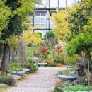 둥지해오름 이미지