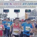 뉴바로 여행사