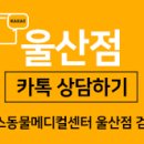 경주동물메디컬센터 이미지