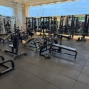 샤이닝 짐 | 이천 헬스장 샤이닝짐 방문 후기