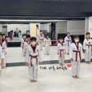 THE바른태권도장 이미지