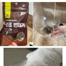 스마트농부 주식회사 네이버블로그