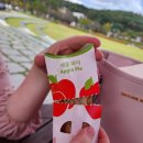 설봉공원 야외대공연장 | 이천 맥도날드 페퍼로니 더블 피자버거 먹어본 후기