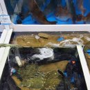 서천서해안횟집 이미지