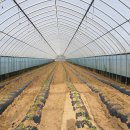 팔봉농원 이미지