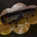 루밍 - 서초구 사평대로26길 48 | 대구 동구 신암동 속눈썹펌 잘하는곳 루밍 스튜디오 후기