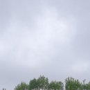 새희망공인중개사사무소 이미지