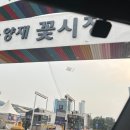 리치서치 | 가성비부케 야외스냅촬영 양재꽃시장 리치플라워 가격 솔직후기