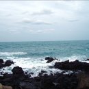 제주도 푸른밤 이미지