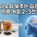 신중한커피