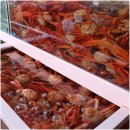 대해 | 속초맛집 속초 바다 향기와 함께 즐긴 게요리 한상속초 바닷가 감성 가득한 맛집 대해가 후기~