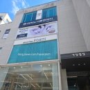 더마음모리 | ❣️드레스❣️실크맛집 모리엠포티 촬영가봉 후기① 풍성드레스편+지정혜택 및 견적공유