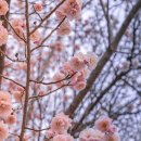 완산-124 이미지