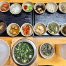 털보리조트 | 강원도 정선 메밀촌 막국수 내돈내산 솔직후기 | 곤드레 정식 막국수 감자만두
