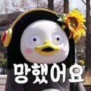 제로메디 이미지