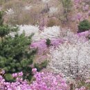 꽃동산유치원 이미지