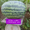 정수농장 이미지