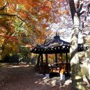 풍경쉼터 이미지