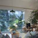 제주정성다함 | 나만 알고싶은 조용한 제주도 감성 숙소 독채 추천 | 작은 교토🌿 제주 스탠다드 (jeju standard)