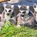 호텔제이스 이미지