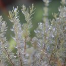 유연농장 이미지