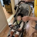 제주요요베베 | 에그 스카이 휴대용 유모차 6개월 핫딜 내돈내산 실사용 후기