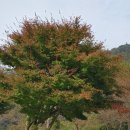 두륜산관광펜션 이미지