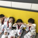 경일태권도 이미지